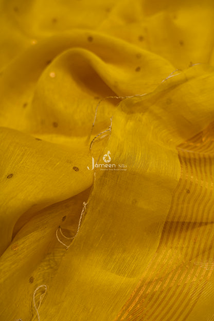 PICHWAI MUSLIN SILK SAREE